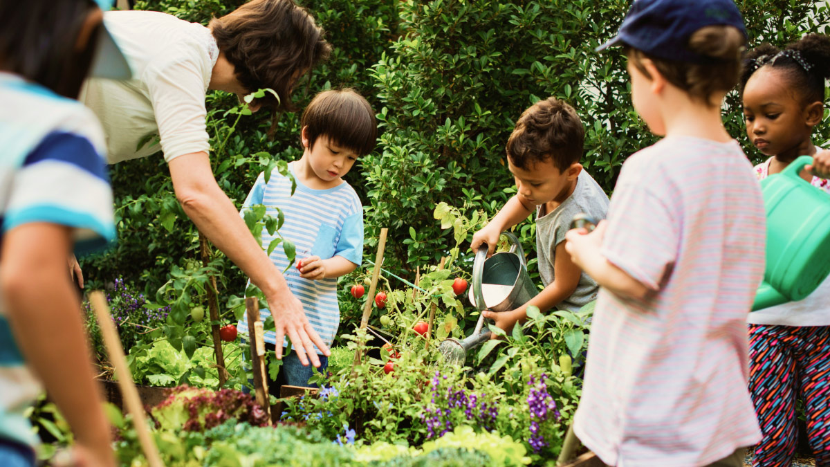 A group of young children gardening under the guidance of a teacher at Verdi EcoSchool