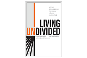 Living Undivided