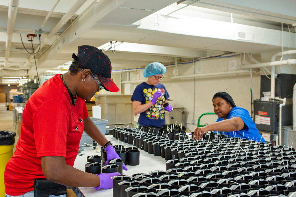 Thistle Farms workers packaging products