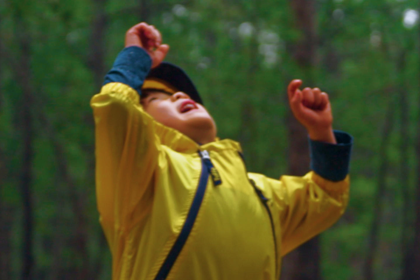 A child in a yellow windbreaker looks up at the sky