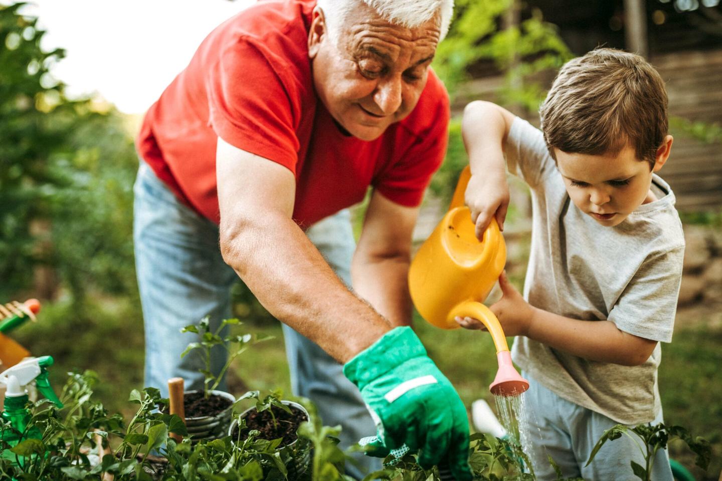 A older man tends to a garden with a young child