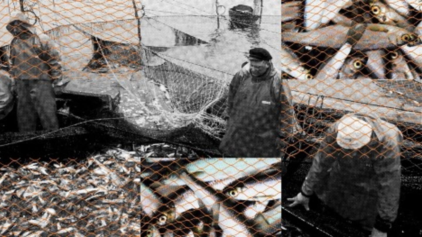 A photo collage of herring fishermen at sea