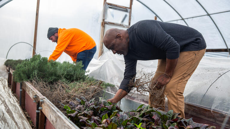 Two people gardening