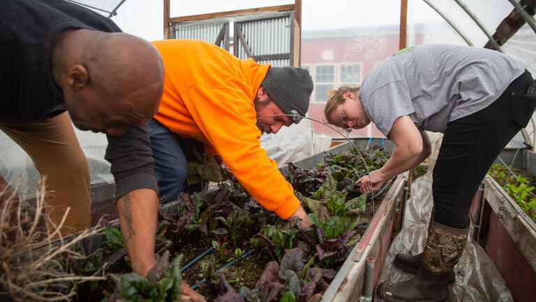 People gardening