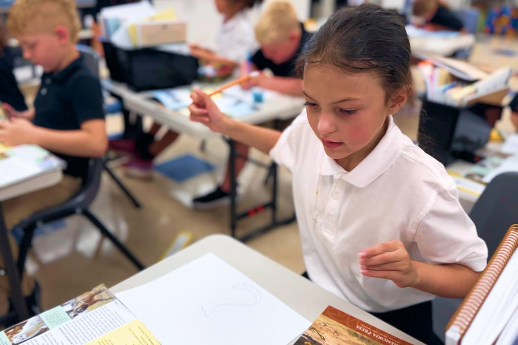 A photo of a young student in a classroom