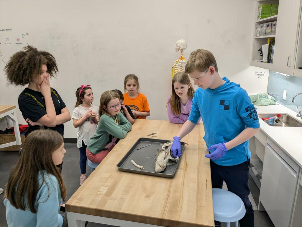 Children participating in science lab.