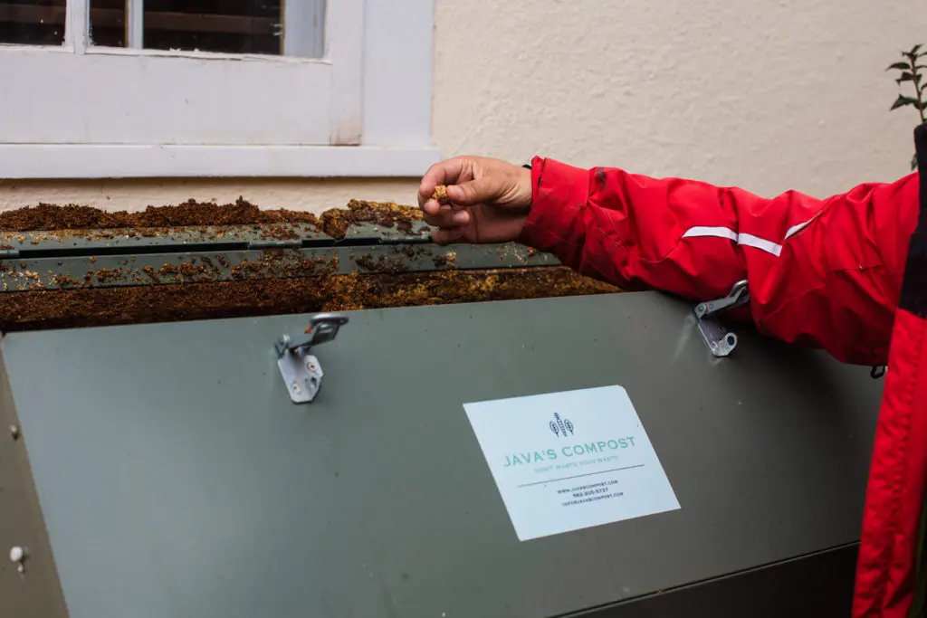 A man pinches some compost